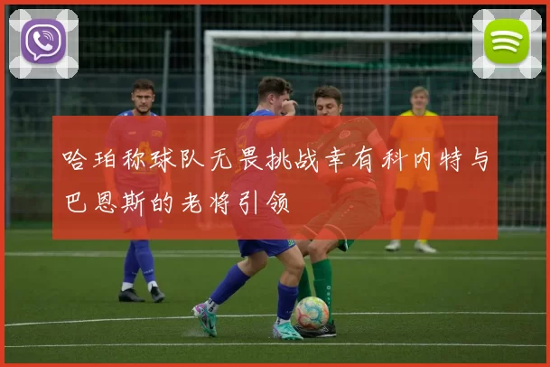 哈珀称球队无畏挑战幸有科内特与巴恩斯的老将引领